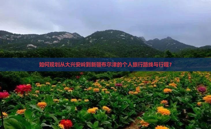 如何规划从大兴安岭到新疆布尔津的个人旅行路线与行程？