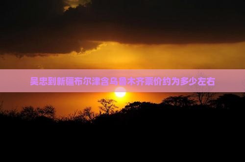 吴忠到新疆布尔津含乌鲁木齐票价约为多少左右