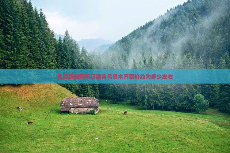 吴忠到新疆布尔津含乌鲁木齐票价约为多少左右