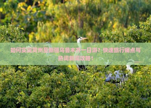 如何实现贺州至新疆乌鲁木齐一日游？快速旅行痛点与热词新词攻略！