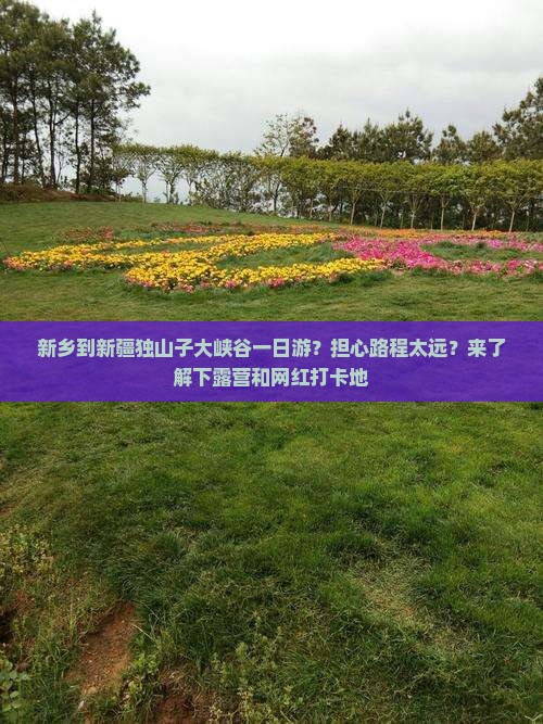 新乡到新疆独山子大峡谷一日游？担心路程太远？来了解下露营和网红打卡地