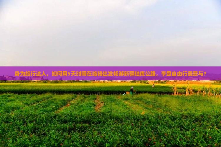 身为旅行达人，如何用5天时间在临猗出发畅游新疆独库公路，享受自由行美景与？