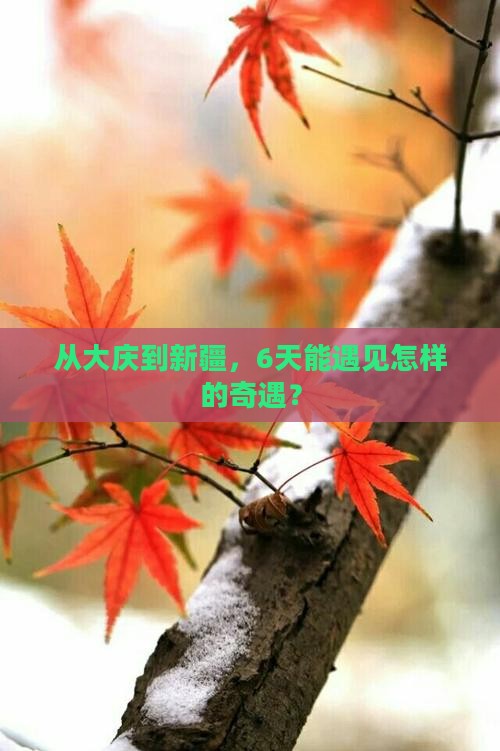 从大庆到新疆，6天能遇见怎样的奇遇？