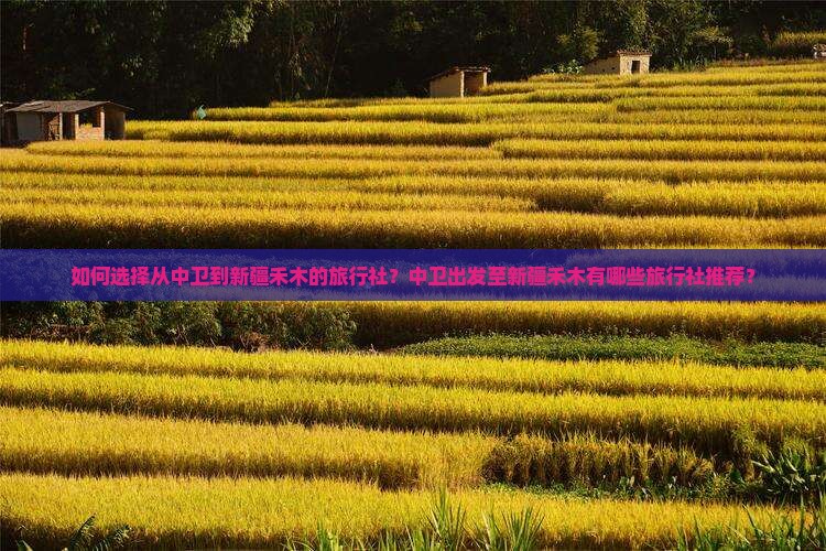 如何选择从中卫到新疆禾木的旅行社？中卫出发至新疆禾木有哪些旅行社推荐？