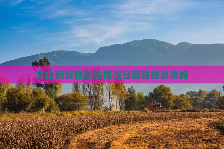 文山到新疆那拉提四日游路线及攻略