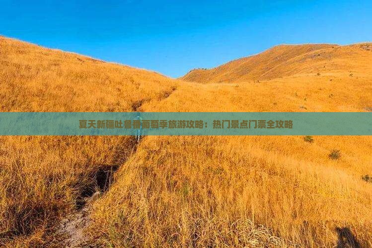 夏天新疆吐鲁番葡萄季旅游攻略：热门景点门票全攻略