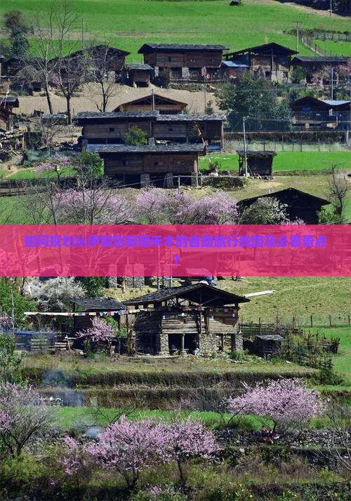 如何规划从伊犁到新疆禾木的自助旅行线路及必看景点？