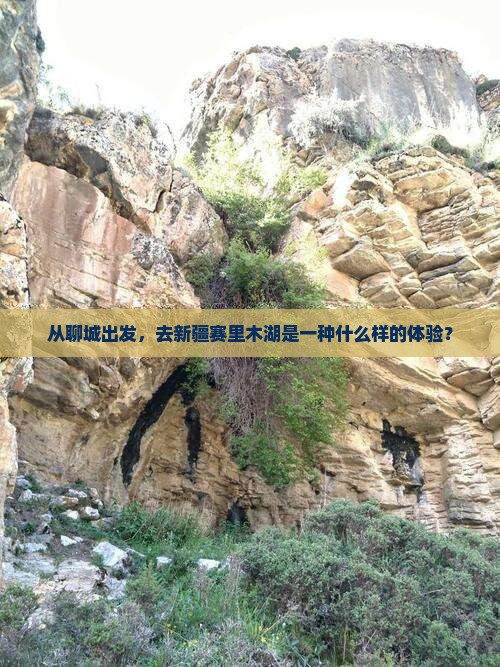 从聊城出发，去新疆赛里木湖是一种什么样的体验？