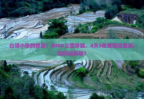 白领小张的惊喜！4000公里穿越，4天3夜新疆深度游，如何玩得嗨？