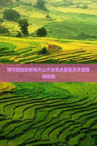 博尔塔拉到新疆天山天池景点距离及详细路线指南