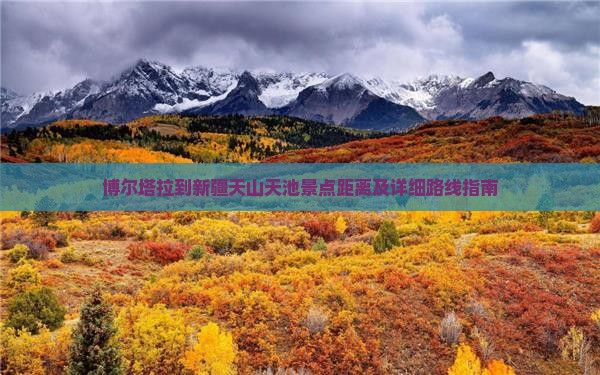 博尔塔拉到新疆天山天池景点距离及详细路线指南
