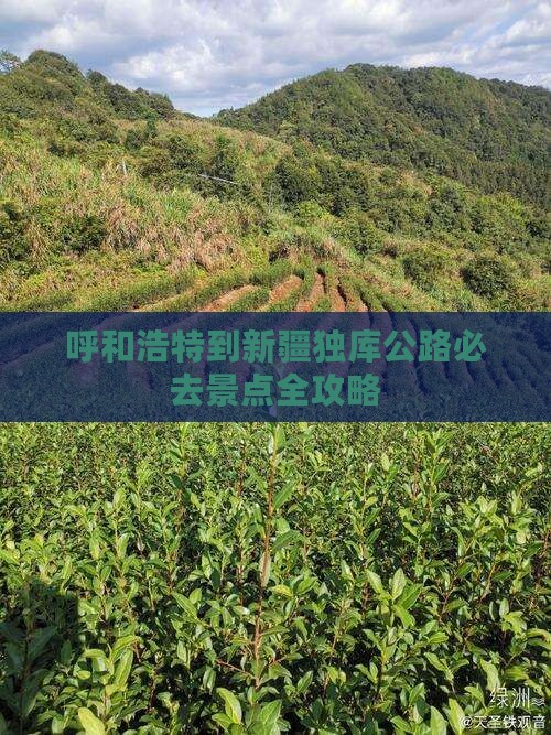 呼和浩特到新疆独库公路必去景点全攻略