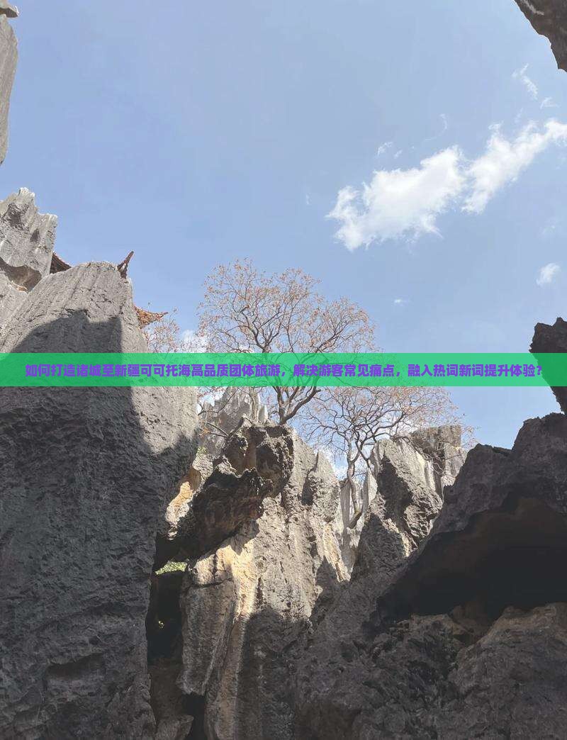 如何打造诸城至新疆可可托海高品质团体旅游，解决游客常见痛点，融入热词新词提升体验？