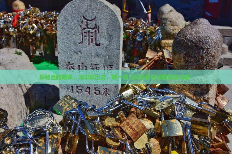 探秘丝路明珠，哈尔滨出发，哪一站让吐鲁番的秘密等你揭晓？