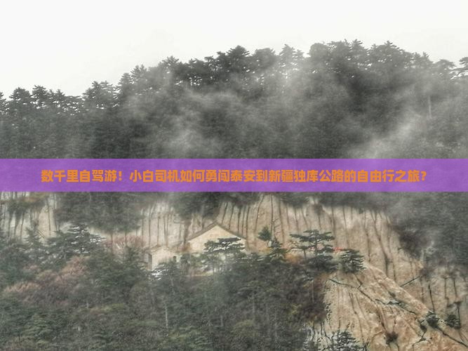 数千里自驾游！小白司机如何勇闯泰安到新疆独库公路的自由行之旅？