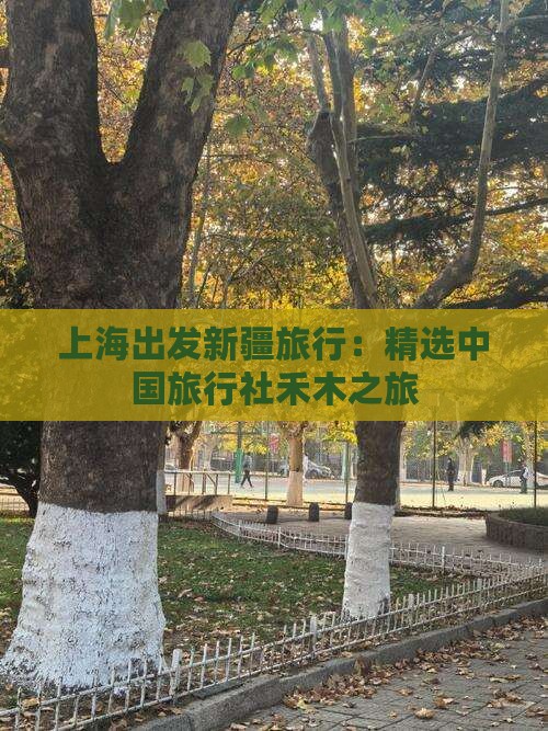 上海出发新疆旅行：精选中国旅行社禾木之旅