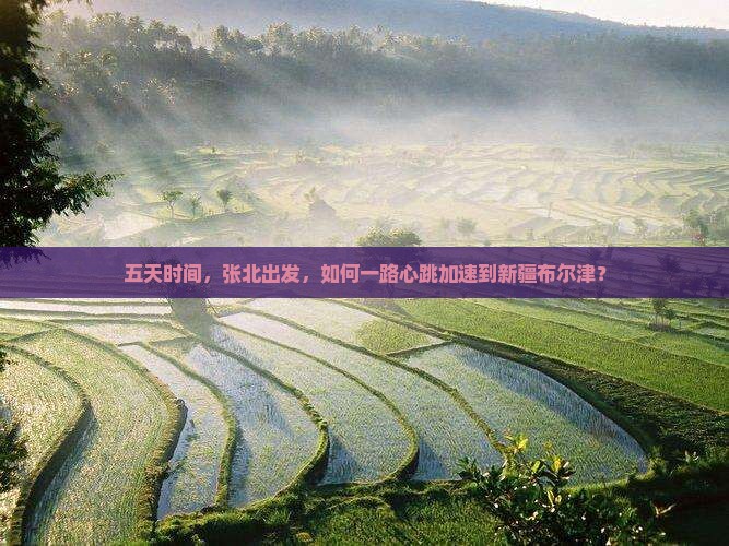五天时间，张北出发，如何一路心跳加速到新疆布尔津？