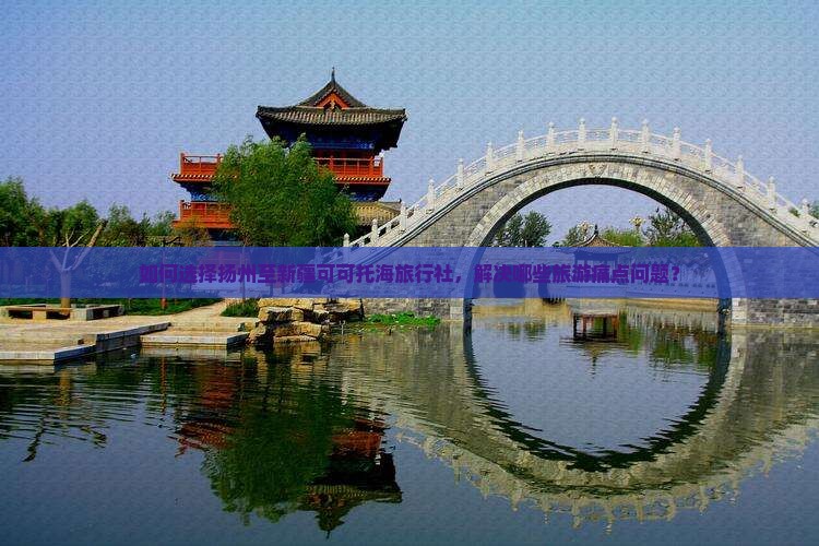 如何选择扬州至新疆可可托海旅行社，解决哪些旅游痛点问题？