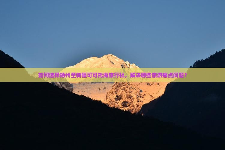如何选择扬州至新疆可可托海旅行社，解决哪些旅游痛点问题？