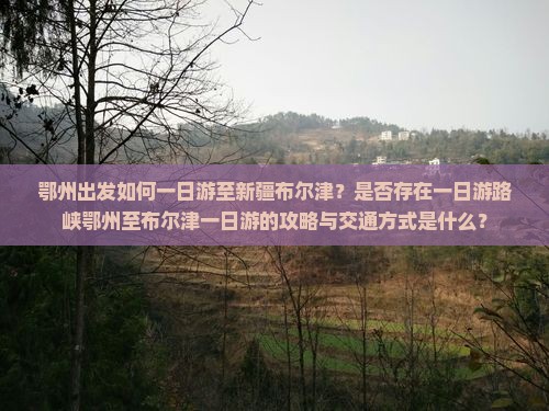鄂州出发如何一日游至新疆布尔津？是否存在一日游路峡鄂州至布尔津一日游的攻略与交通方式是什么？