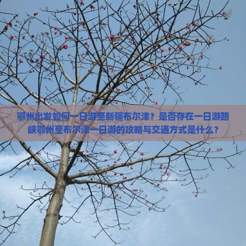 鄂州出发如何一日游至新疆布尔津？是否存在一日游路峡鄂州至布尔津一日游的攻略与交通方式是什么？