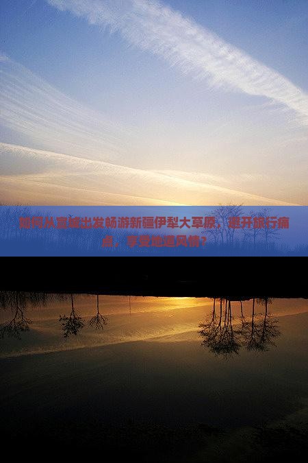 如何从宣城出发畅游新疆伊犁大草原，避开旅行痛点，享受地道风情？