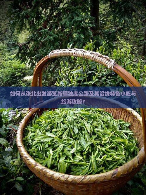 如何从张北出发游览新疆独库公路及其沿线特色小吃与旅游攻略？