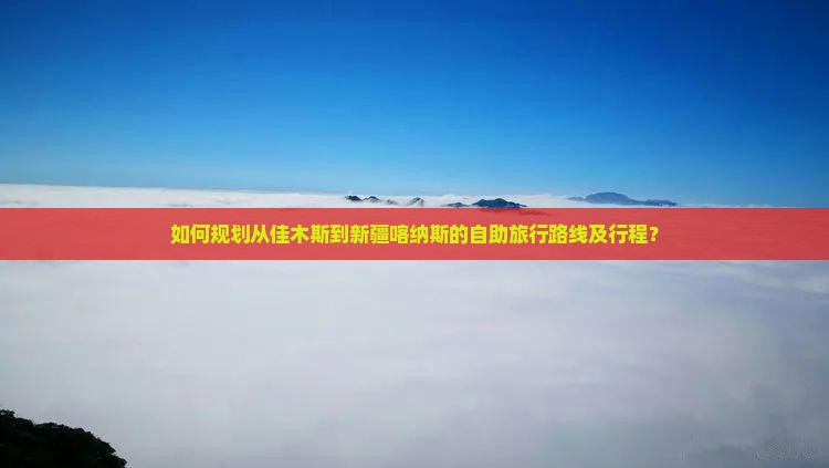 如何规划从佳木斯到新疆喀纳斯的自助旅行路线及行程？