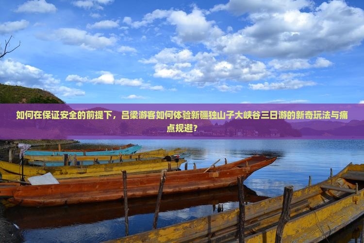 如何在保证安全的前提下，吕梁游客如何体验新疆独山子大峡谷三日游的新奇玩法与痛点规避？