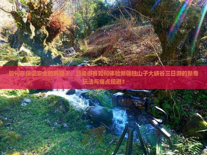 如何在保证安全的前提下，吕梁游客如何体验新疆独山子大峡谷三日游的新奇玩法与痛点规避？