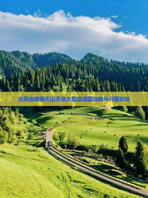 大同去新疆天山天池大型旅游团攻略与行程安排