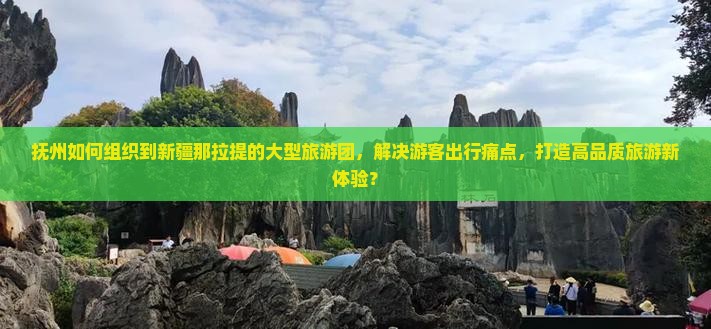 抚州如何组织到新疆那拉提的大型旅游团，解决游客出行痛点，打造高品质旅游新体验？