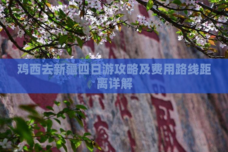 鸡西去新疆四日游攻略及费用路线距离详解