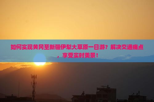 如何实现黄冈至新疆伊犁大草原一日游？解决交通痛点，享受实时美景！