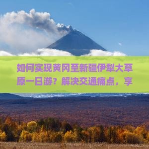 如何实现黄冈至新疆伊犁大草原一日游？解决交通痛点，享受实时美景！