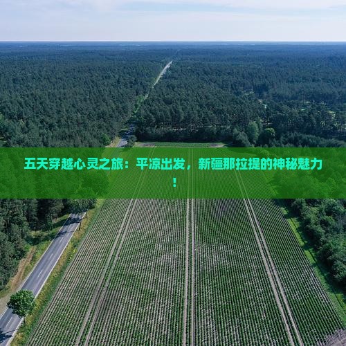 五天穿越心灵之旅：平凉出发，新疆那拉提的神秘魅力！