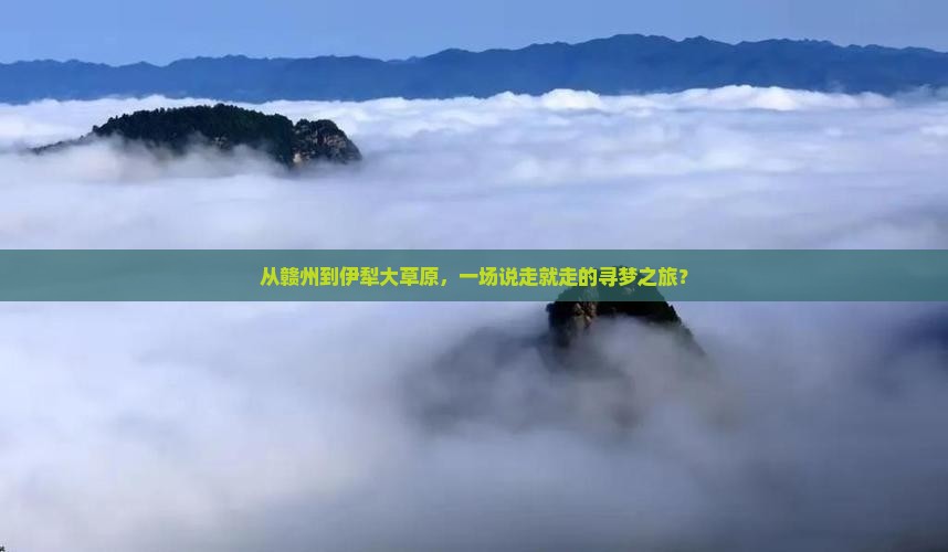 从赣州到伊犁大草原，一场说走就走的寻梦之旅？