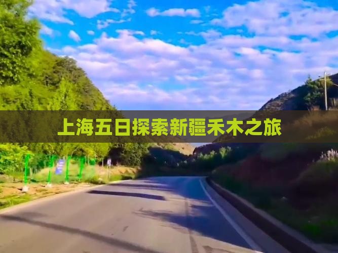 上海五日探索新疆禾木之旅