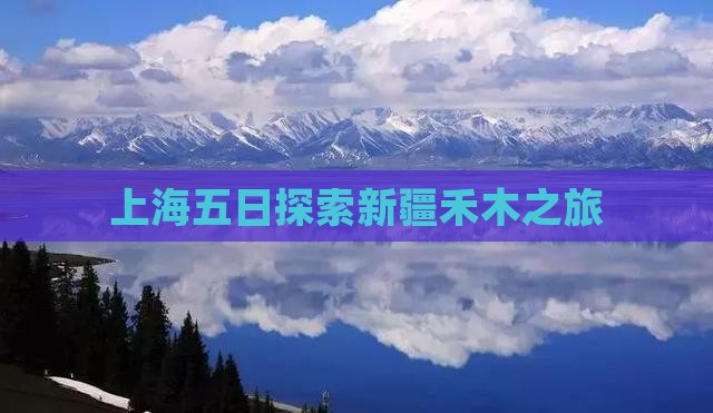 上海五日探索新疆禾木之旅