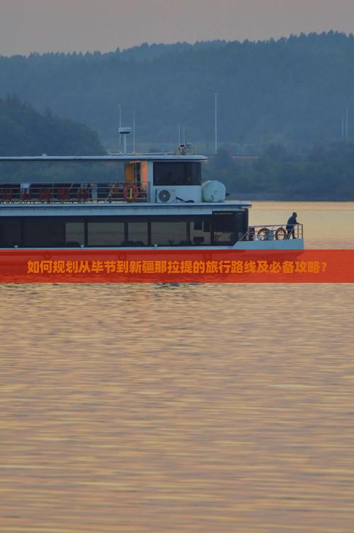 如何规划从毕节到新疆那拉提的旅行路线及必备攻略？