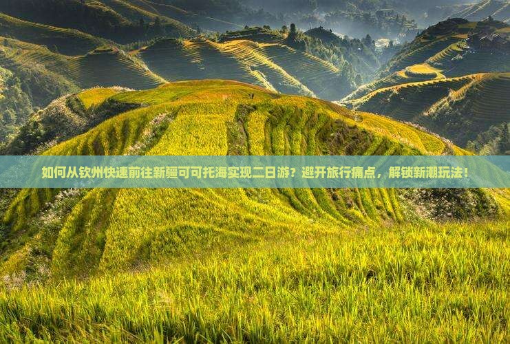 如何从钦州快速前往新疆可可托海实现二日游？避开旅行痛点，解锁新潮玩法！