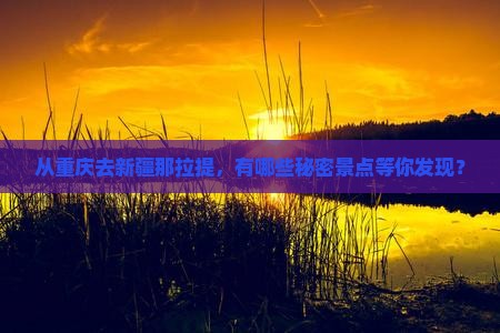 从重庆去新疆那拉提，有哪些秘密景点等你发现？