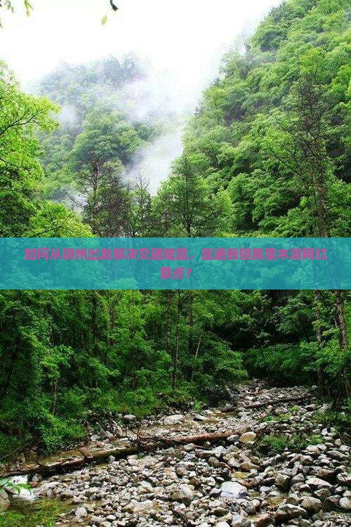 如何从锦州出发解决交通难题，直通新疆赛里木湖网红景点？