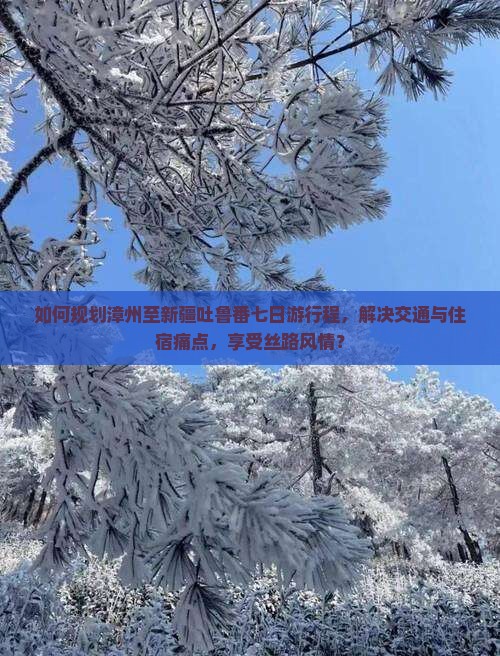 如何规划漳州至新疆吐鲁番七日游行程，解决交通与住宿痛点，享受丝路风情？