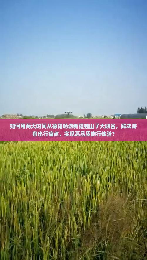 如何用两天时间从德阳畅游新疆独山子大峡谷，解决游客出行痛点，实现高品质旅行体验？