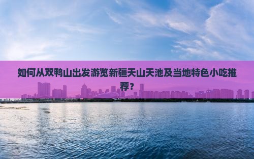如何从双鸭山出发游览新疆天山天池及当地特色小吃推荐？