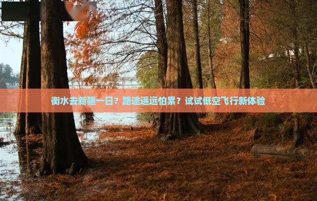 衡水去新疆一日？路途遥远怕累？试试低空飞行新体验