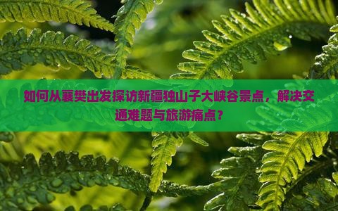 如何从襄樊出发探访新疆独山子大峡谷景点，解决交通难题与旅游痛点？