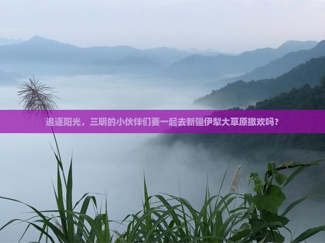 追逐阳光,三明的小伙伴们要一起去新疆伊犁大草原撒欢吗? 追逐阳光,三明的小伙伴们要一起去新疆伊犁大草原撒欢吗?