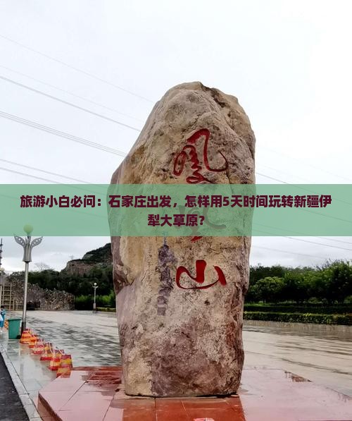旅游小白必问：石家庄出发，怎样用5天时间玩转新疆伊犁大草原？